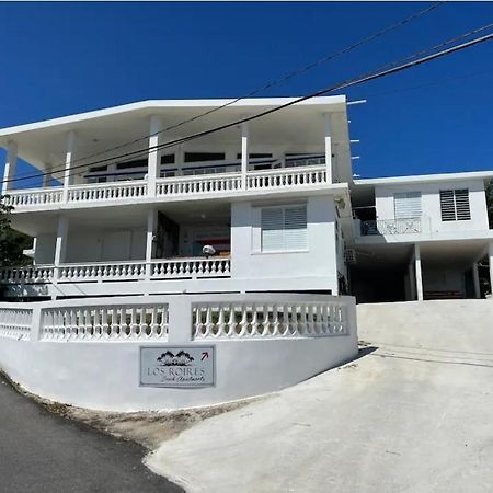 Los Roires Beach Apartments Fajardo Eksteriør billede